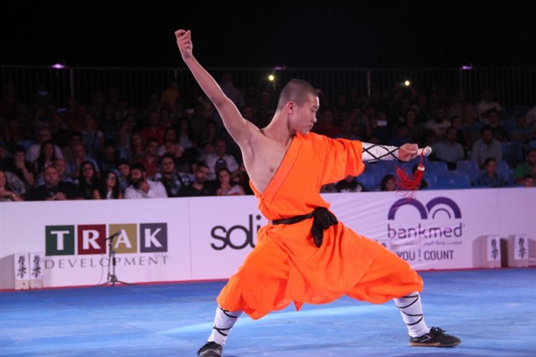 Martial Arts Festival